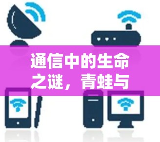 通信中的生命之谜,青蛙与VPN的通信困境 通信中的生命之谜,青蛙与VPN的通信困境