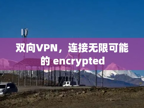 双向VPN,连接无限可能的 encrypted 双向VPN,连接无限可能的 encrypted