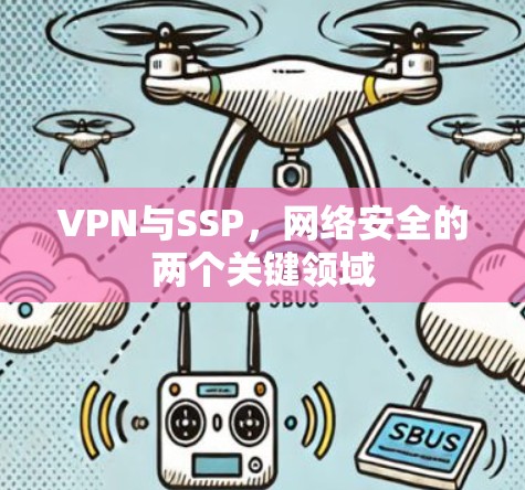 VPN与SSP，网络安全的两个关键领域