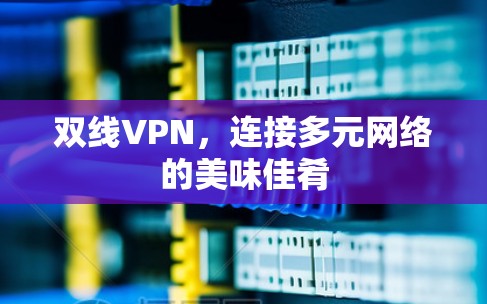 双线VPN，连接多元网络的美味佳肴