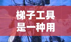 梯子工具是一种用于测试设备互连和数据传输功能的工具,广泛应用于无线网络、物联网设备等领域。以下是使用梯子工具的步骤指南 梯子工具是一种用于测试设备互连和数据传输功能的工具,广泛应用于无线网络、物联网设备等领域。以下是使用梯子工具的步骤指南