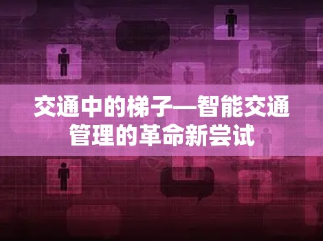 交通中的梯子—智能交通管理的革命新尝试 交通中的梯子—智能交通管理的革命新尝试