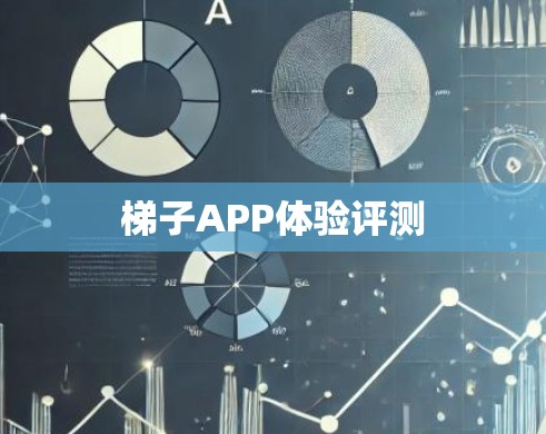 梯子APP体验评测