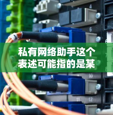 私有网络助手这个表述可能指的是某种基于互联网的智能助手或设备，它可能拥有自己的代码或权限，与外部网络环境保持独立。以下是一些可能的解释和建议