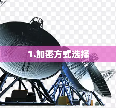 1.加密方式选择 1.加密方式选择