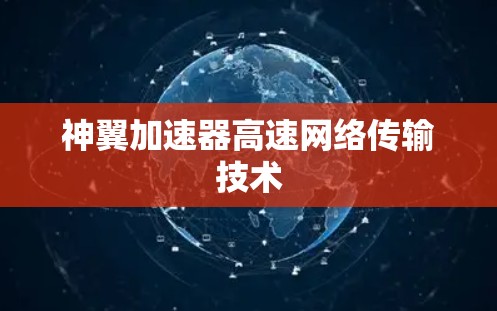 神翼加速器高速网络传输技术