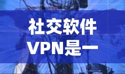 社交软件VPN是一种通过虚拟网络连接社交软件（如微信、QQ）的工具，旨在保护用户的隐私和数据安全。以下是逐步操作指南