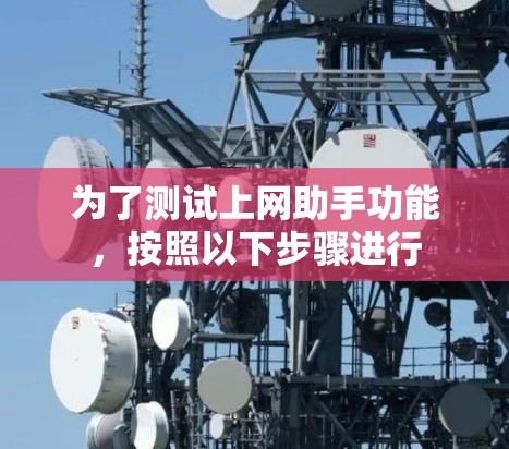 为了测试上网助手功能，按照以下步骤进行