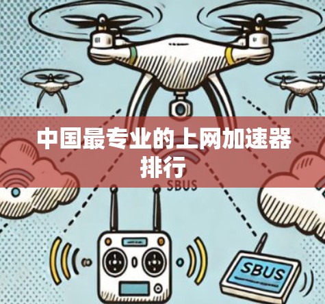 中国最专业的上网加速器排行 中国最专业的上网加速器排行