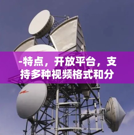 -特点,开放平台,支持多种视频格式和分辨率