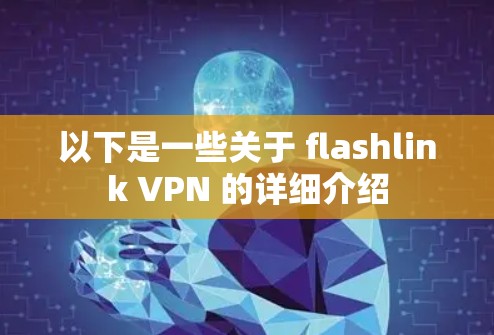 以下是一些关于 flashlink VPN 的详细介绍