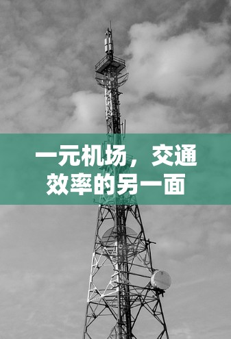 一元机场，交通效率的另一面