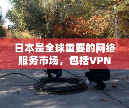 日本是全球重要的网络服务市场,包括VPN(Virtual Private Network)领域。以下是日本的几个主要的VPN服务 日本是全球重要的网络服务市场,包括VPN(Virtual Private Network)领域。以下是日本的几个主要的VPN服务