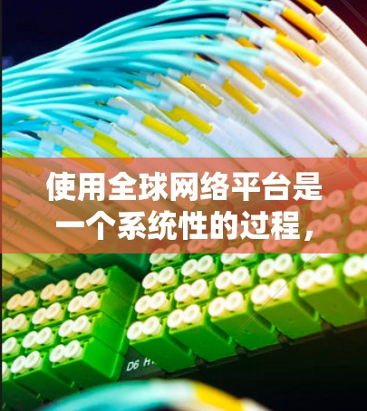 使用全球网络平台是一个系统性的过程，涉及多个步骤和能力的培养。以下是一个清晰的指南，帮助您系统地学习和使用这些平台