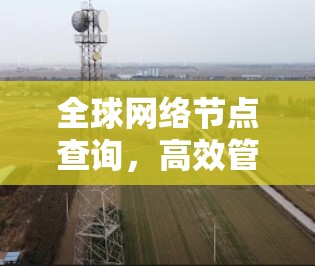 全球网络节点查询,高效管理与故障排除指南 全球网络节点查询,高效管理与故障排除指南
