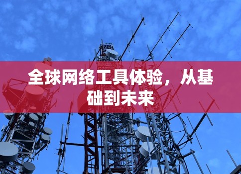 全球网络工具体验，从基础到未来