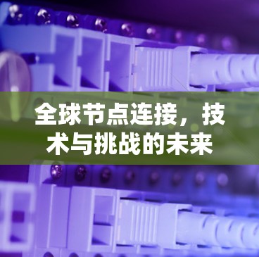 全球节点连接,技术与挑战的未来