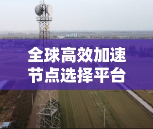 全球高效加速节点选择平台