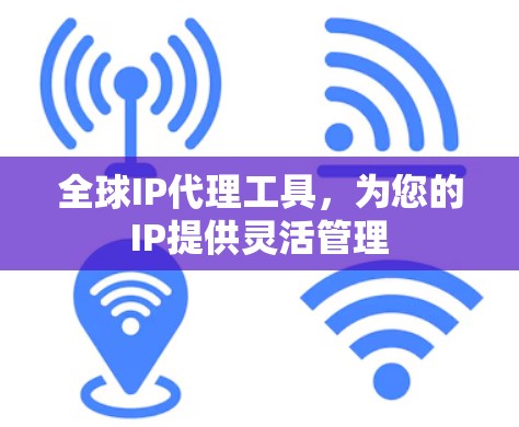 全球IP代理工具,为您的IP提供灵活管理 全球IP代理工具,为您的IP提供灵活管理