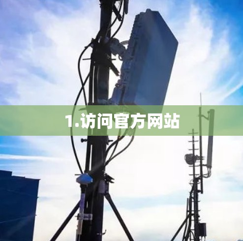 1.访问官方网站