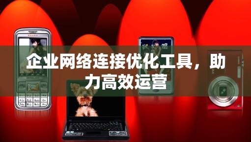 企业网络连接优化工具，助力高效运营
