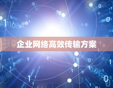 企业网络高效传输方案