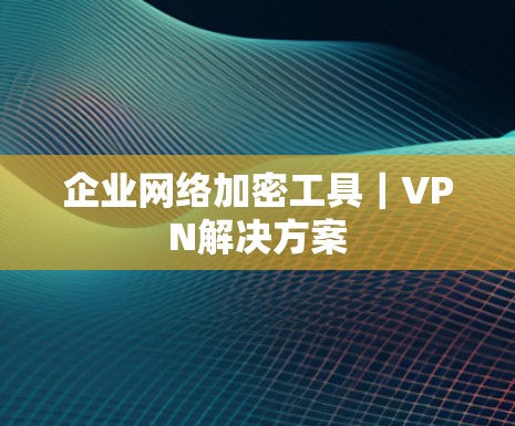 企业网络加密工具|VPN解决方案 企业网络加密工具|VPN解决方案