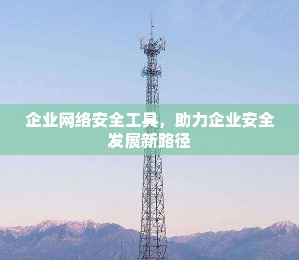 企业网络安全工具，助力企业安全发展新路径