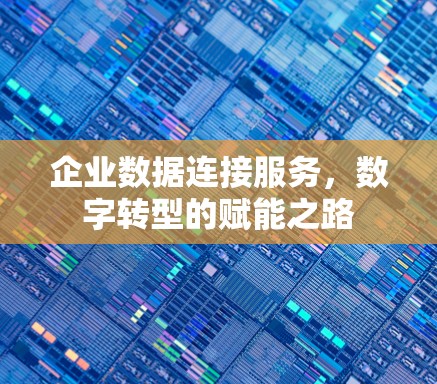 企业数据连接服务，数字转型的赋能之路