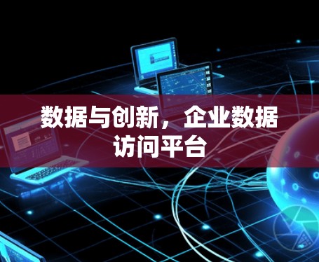 数据与创新，企业数据访问平台