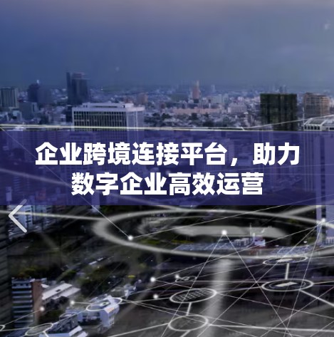 企业跨境连接平台，助力数字企业高效运营