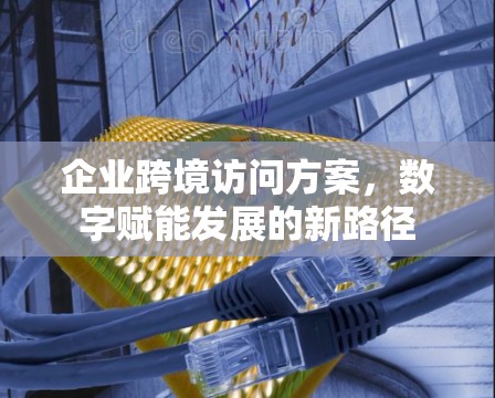 企业跨境访问方案，数字赋能发展的新路径