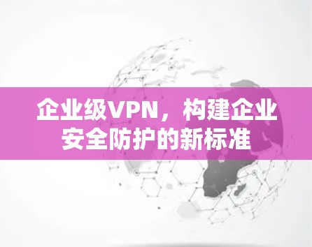 企业级VPN,构建企业安全防护的新标准 企业级VPN,构建企业安全防护的新标准