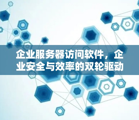 企业服务器访问软件,企业安全与效率的双轮驱动 企业服务器访问软件,企业安全与效率的双轮驱动