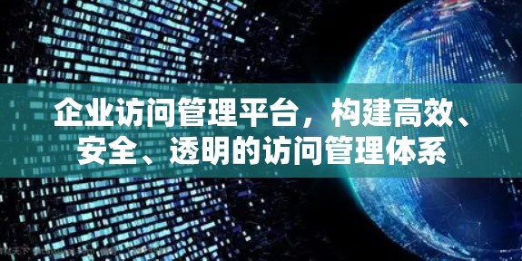 企业访问管理平台,构建高效、安全、透明的访问管理体系