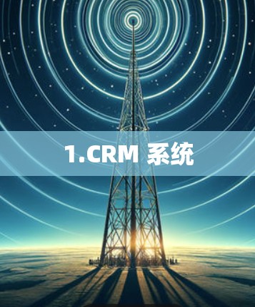 1.CRM 系统 1.CRM 系统