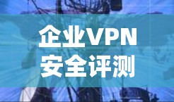 企业VPN安全评测