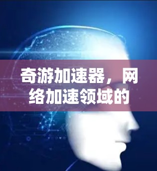 奇游加速器,网络加速领域的新贵与智选之选