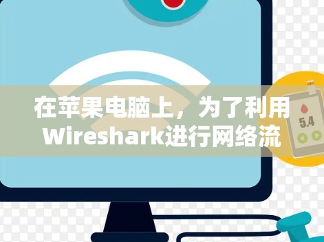 在苹果电脑上,为了利用Wireshark进行网络流量分析和管理,您可以按照以下步骤进行