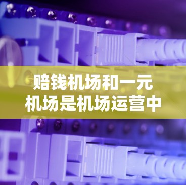 赔钱机场和一元机场是机场运营中的常见问题,涉及成本控制、定价策略和服务质量等多个方面。以下是详细的分析和解决方案