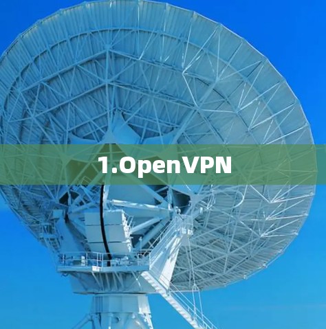 1.OpenVPN