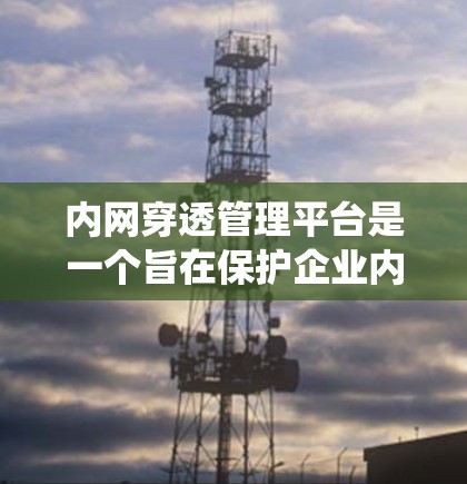 内网穿透管理平台是一个旨在保护企业内部网络免受攻击的系统，通过一系列功能和步骤来维护和管理网络环境。以下是对该平台的详细总结和使用步骤