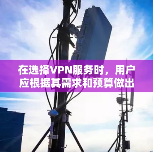 在选择VPN服务时，用户应根据其需求和预算做出决定。以下是一些综合考虑的因素