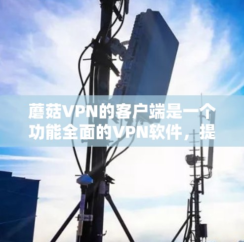 蘑菇VPN的客户端是一个功能全面的VPN软件,提供多种视频娱乐、文件传输和网络连接服务。以下是获取蘑菇VPN客户端的步骤和注意事项 蘑菇VPN的客户端是一个功能全面的VPN软件,提供多种视频娱乐、文件传输和网络连接服务。以下是获取蘑菇VPN客户端的步骤和注意事项