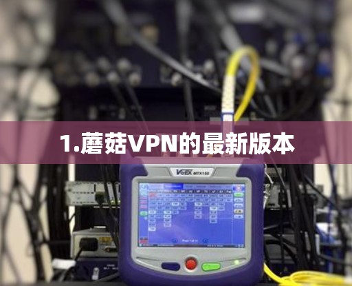 1.蘑菇VPN的最新版本 1.蘑菇VPN的最新版本
