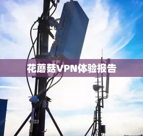 花蘑菇VPN体验报告 花蘑菇VPN体验报告
