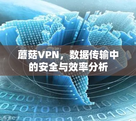 蘑菇VPN,数据传输中的安全与效率分析 蘑菇VPN,数据传输中的安全与效率分析