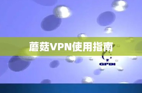 蘑菇VPN使用指南 蘑菇VPN使用指南