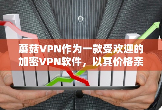 蘑菇VPN作为一款受欢迎的加密VPN软件,以其价格亲民和易用性著称,但在使用时需要全面评估其安全性和潜在风险。以下是详细的评估建议 蘑菇VPN作为一款受欢迎的加密VPN软件,以其价格亲民和易用性著称,但在使用时需要全面评估其安全性和潜在风险。以下是详细的评估建议