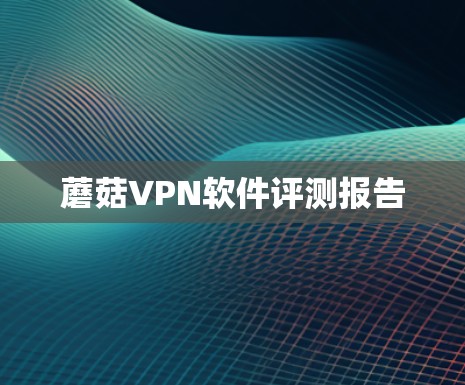 蘑菇VPN软件评测报告 蘑菇VPN软件评测报告
